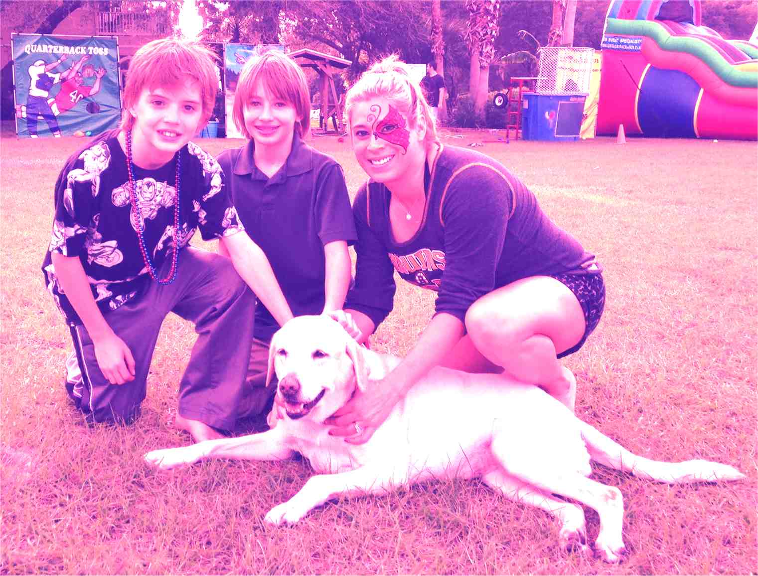 yellow lab owners